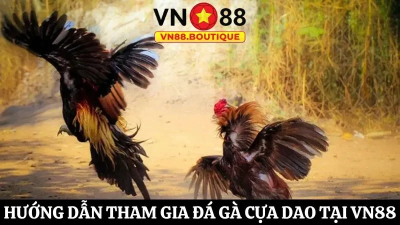 Tham gia đá gà cựa dao tại nhà cái VN88 đơn giản với 3 bước
